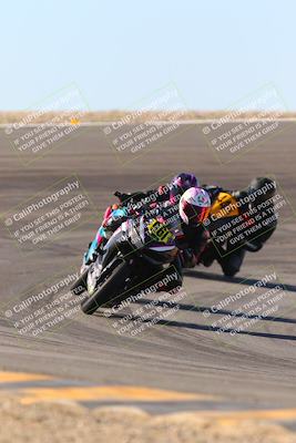 media/Jan-13-2024-SoCal Trackdays (Sat) [[9c032fe5aa]]/Bowl Exit Set 2 (1135am)/